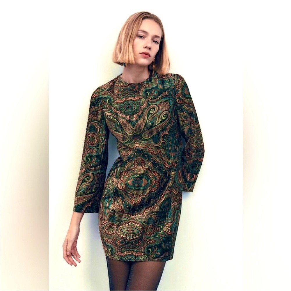 ZARA Printed Velvet Paisley Dress